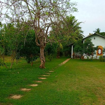 Hideaway Homestay הבאראנה מראה חיצוני תמונה