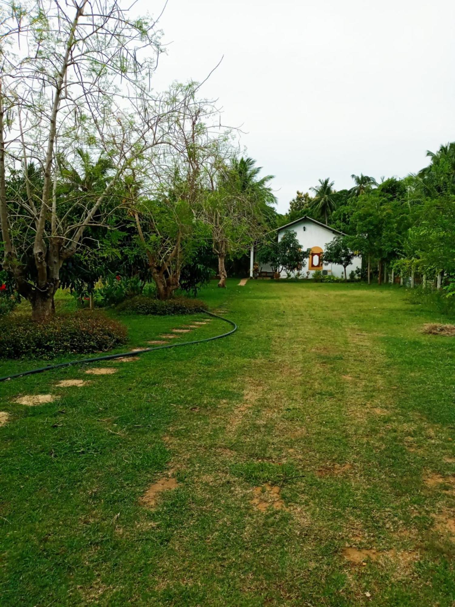 Hideaway Homestay הבאראנה מראה חיצוני תמונה
