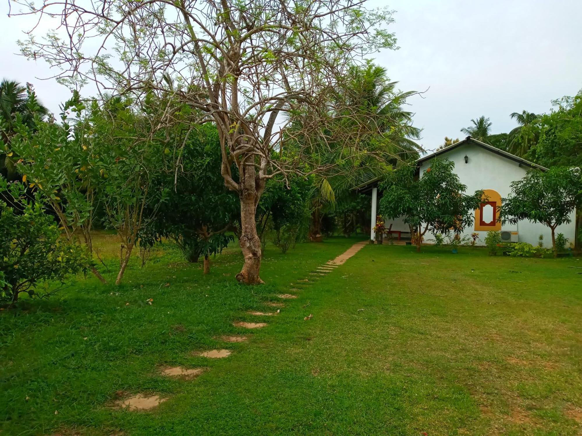 Hideaway Homestay הבאראנה מראה חיצוני תמונה