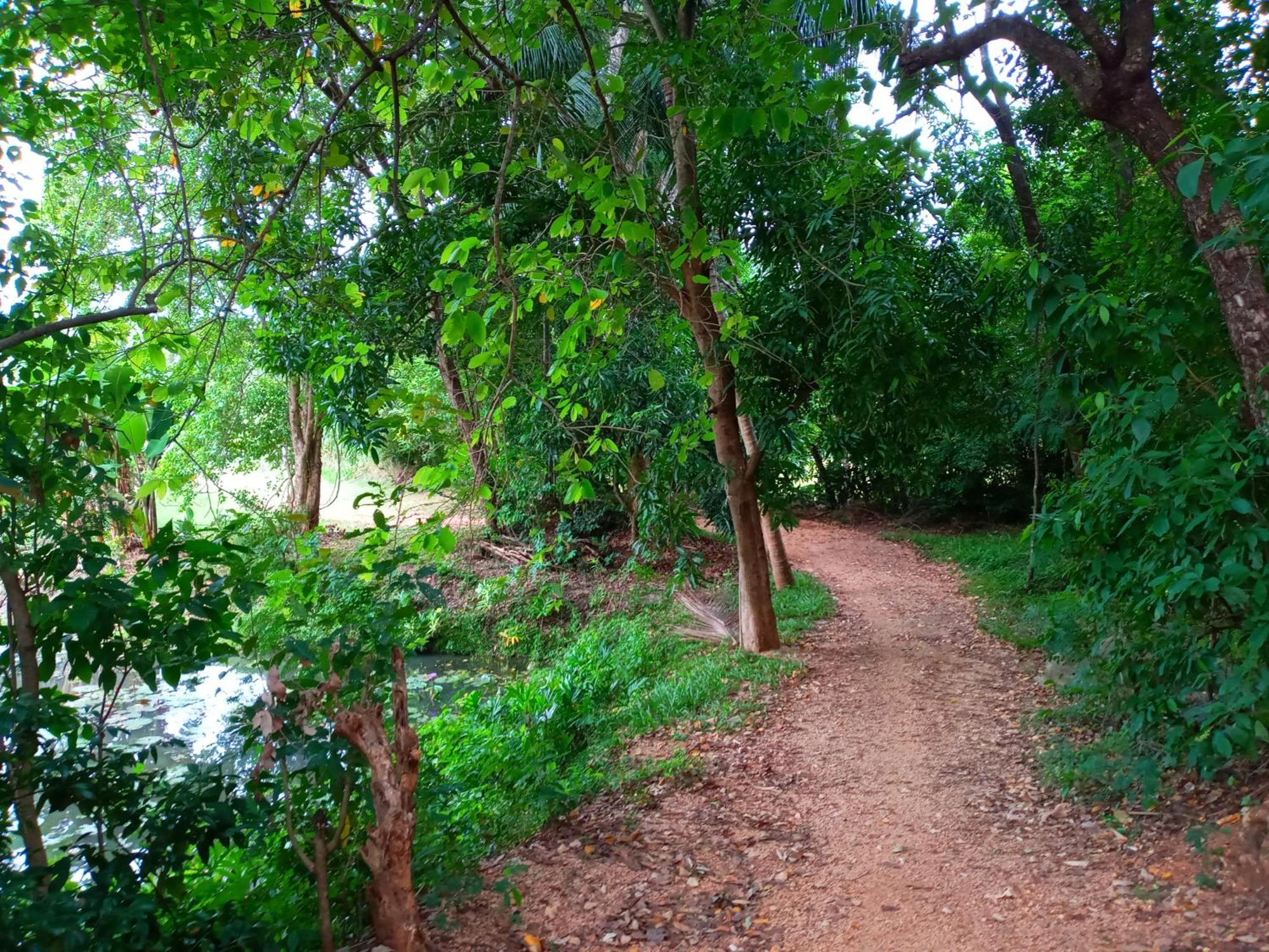 Hideaway Homestay הבאראנה מראה חיצוני תמונה