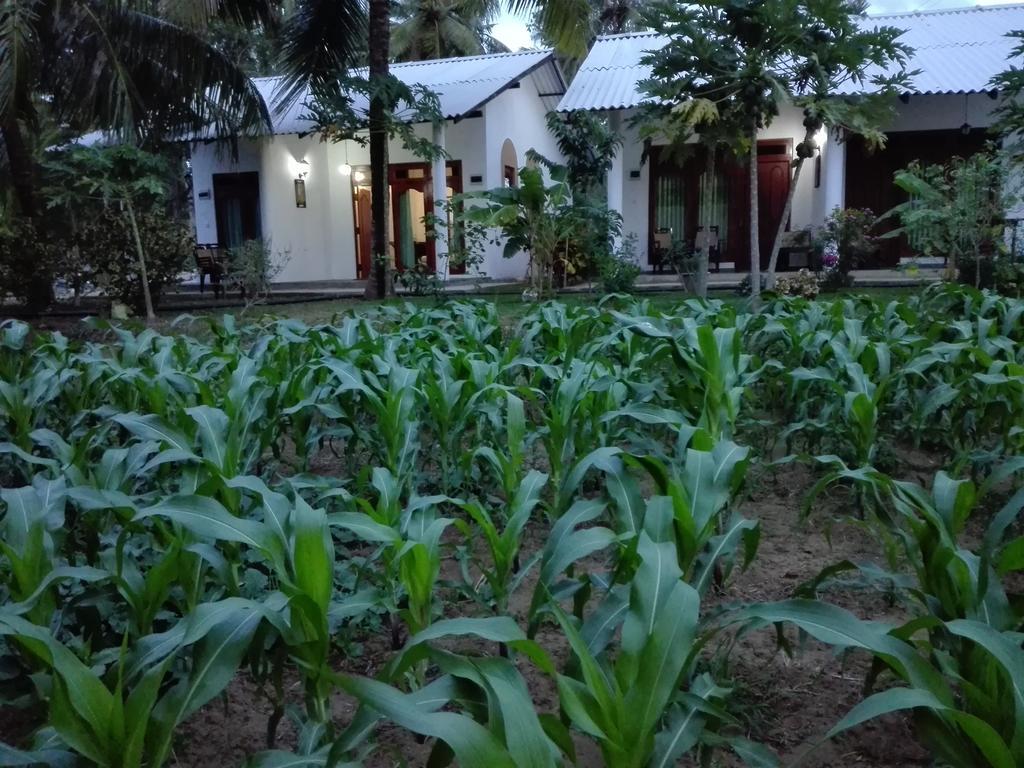 Hideaway Homestay הבאראנה מראה חיצוני תמונה
